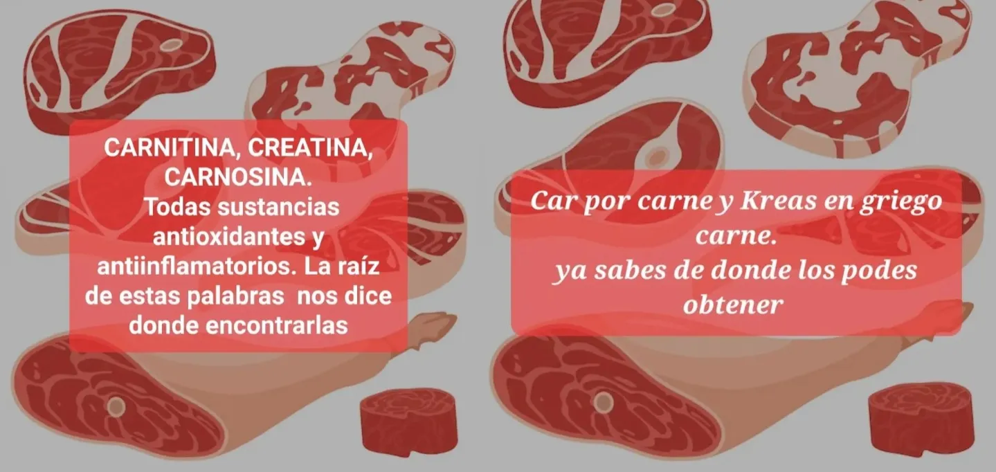 infografia sobre nutrientes en la carne