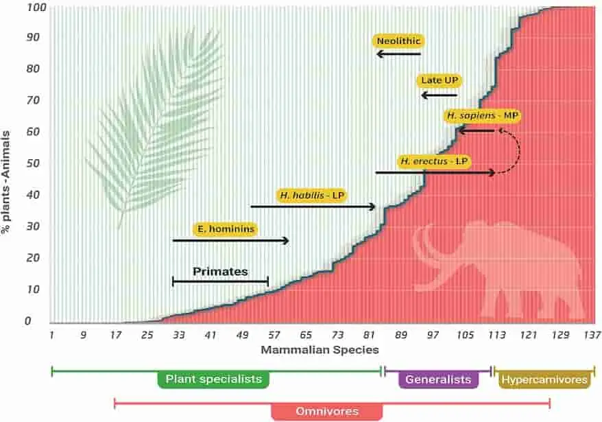 evolución alimentaria humana