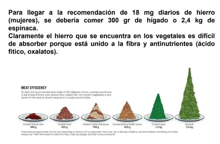 Infografía biodisponibilidad nutrientes