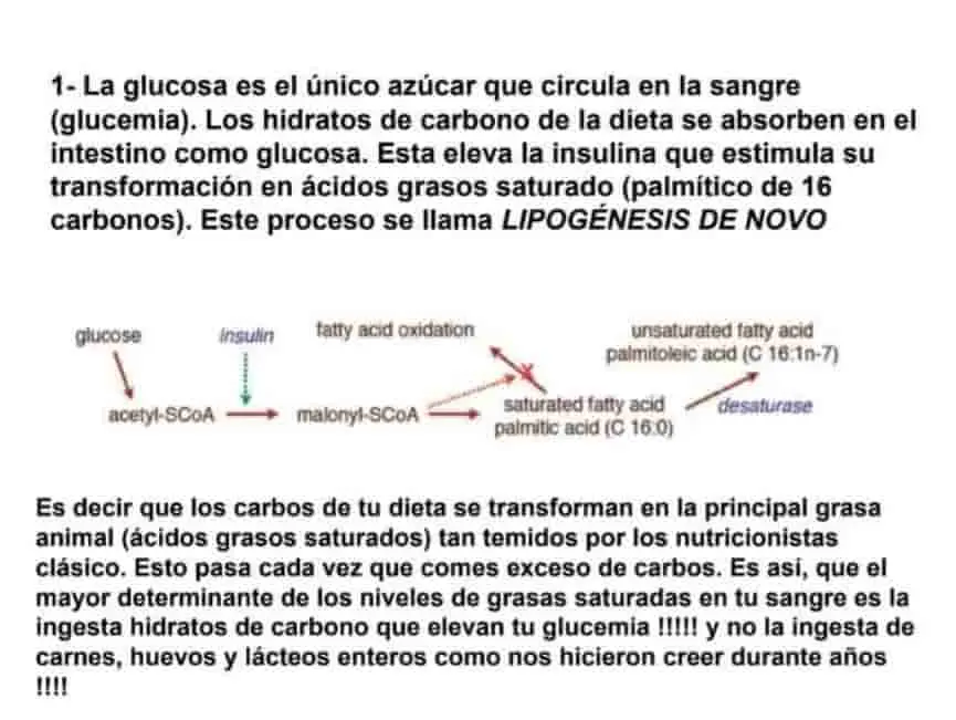 Análisis de trabajo científico sobre hiperinsulinemia.