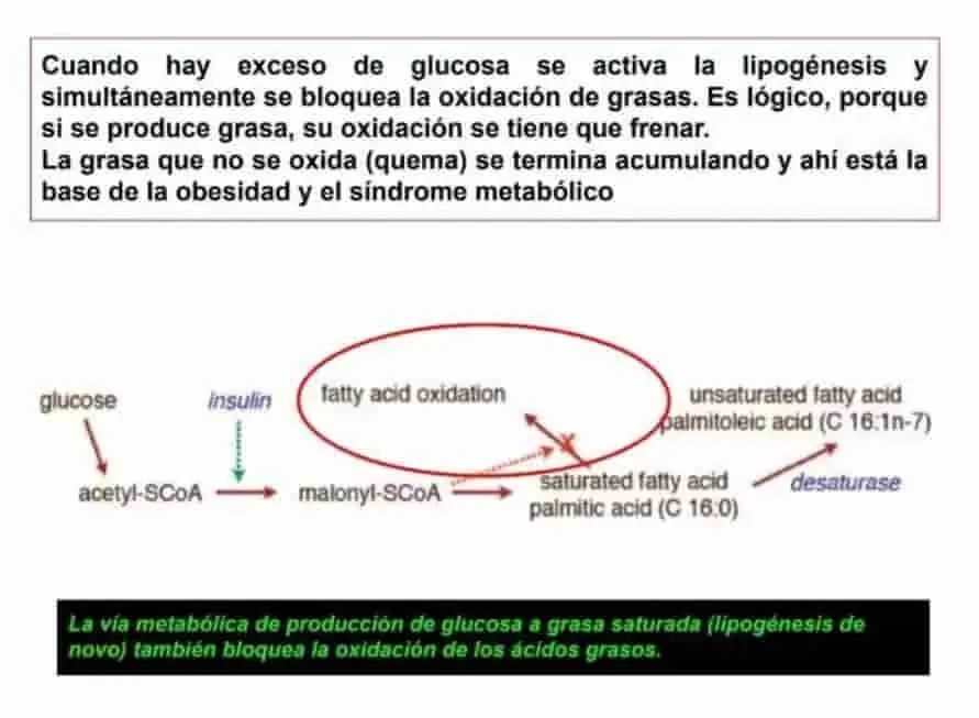 Análisis de trabajo científico sobre hiperinsulinemia.