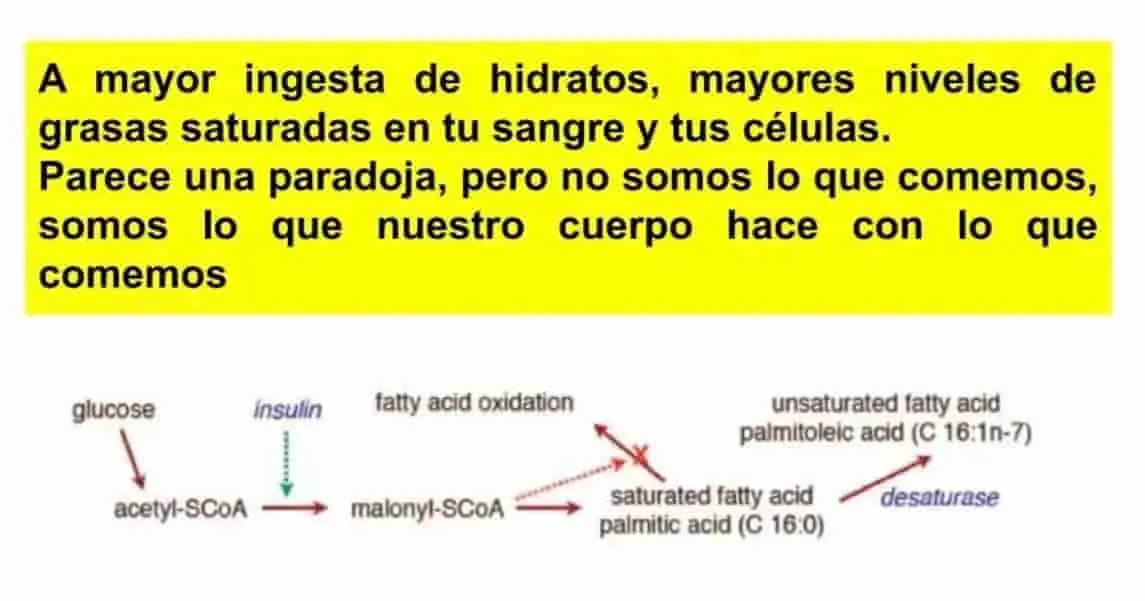 Análisis de trabajo científico sobre hiperinsulinemia.