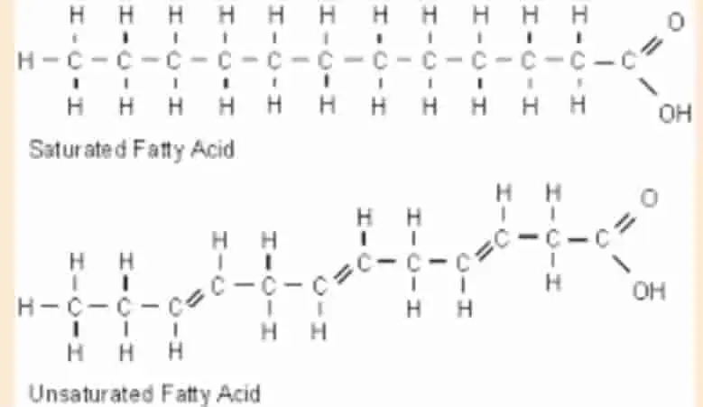 imagen quimica de moleculas de grasa saturada y no saturada