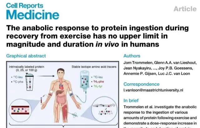 artículo cientifico sobre el efecto de las proteinas sobre el músculo.